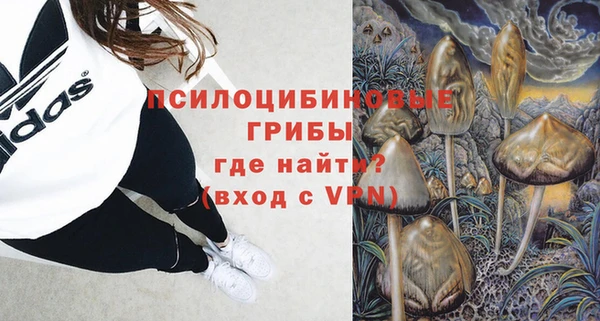 apvp Киреевск
