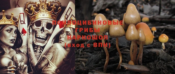 гашик Киренск