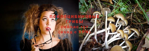apvp Киреевск