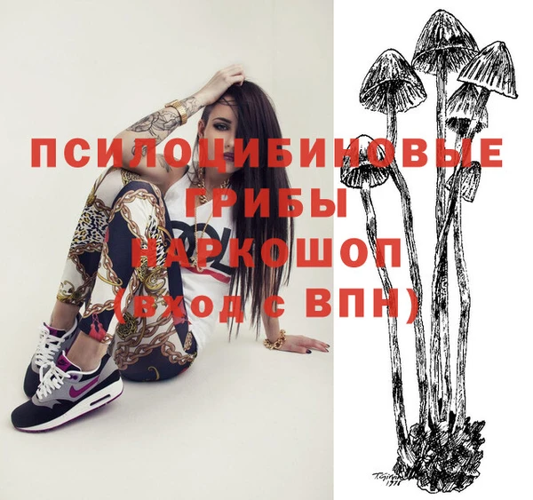 ECSTASY Кинешма