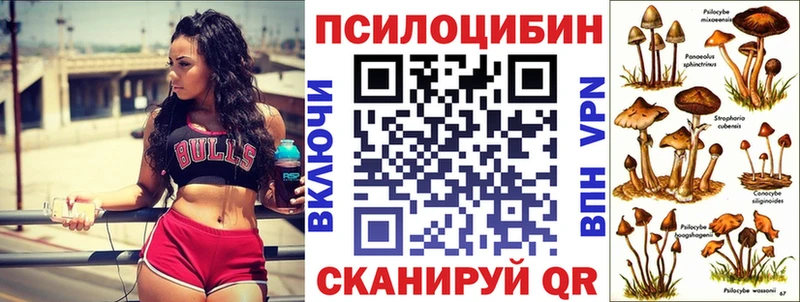 Псилоцибиновые грибы прущие грибы  Купить  Котельниково 